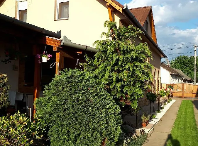 Anna Bathory Apartmanhaz * Хайдусобосло