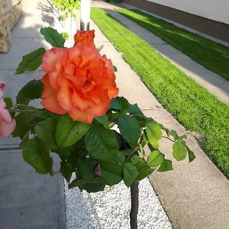 Anna Bathory Apartmanhaz *